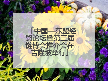 中国—东盟经贸论坛暨第三届链博会推介会在吉隆坡举行