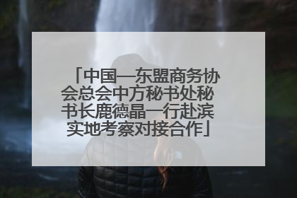 中国—东盟商务协会总会中方秘书处秘书长鹿德晶一行赴滨实地考察对接合作