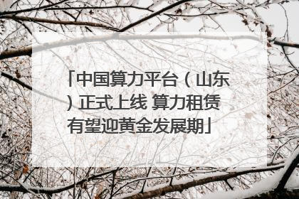 中国算力平台（山东）正式上线 算力租赁有望迎黄金发展期