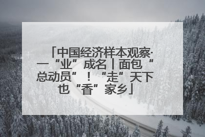 中国经济样本观察·一“业”成名丨面包“总动员”！“走”天下也“香”家乡