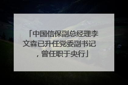中国信保副总经理李文森已升任党委副书记，曾任职于央行