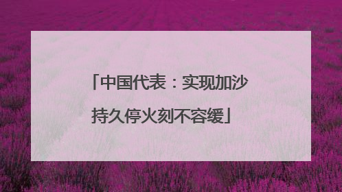 中国代表：实现加沙持久停火刻不容缓