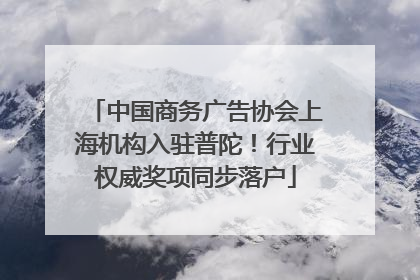 中国商务广告协会上海机构入驻普陀！行业权威奖项同步落户
