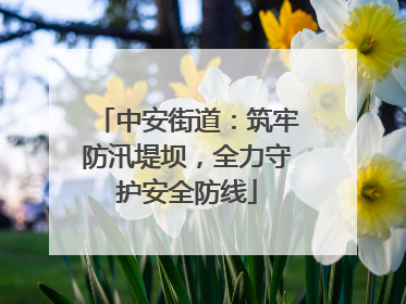 中安街道：筑牢防汛堤坝，全力守护安全防线