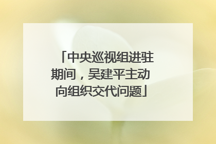 中央巡视组进驻期间，吴建平主动向组织交代问题