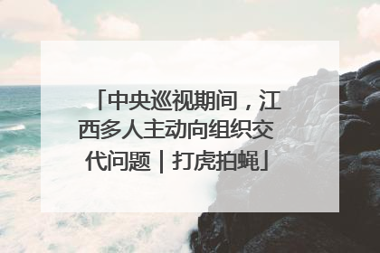 中央巡视期间，江西多人主动向组织交代问题｜打虎拍蝇