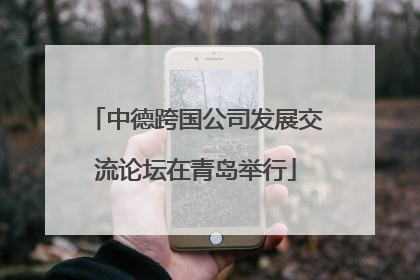 中德跨国公司发展交流论坛在青岛举行