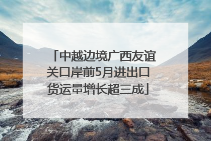 中越边境广西友谊关口岸前5月进出口货运量增长超三成