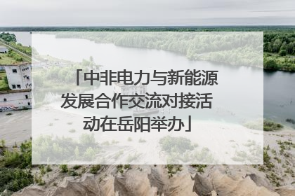 中非电力与新能源发展合作交流对接活动在岳阳举办