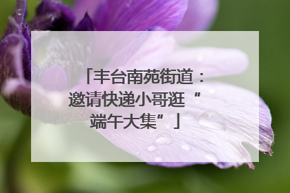 丰台南苑街道：邀请快递小哥逛“端午大集”