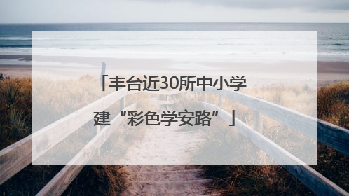 丰台近30所中小学建“彩色学安路”