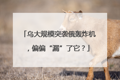 乌大规模突袭俄轰炸机，偏偏“漏”了它？