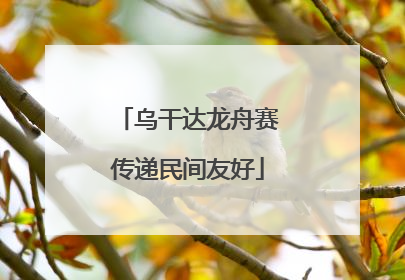 乌干达龙舟赛传递民间友好