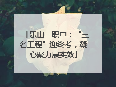乐山一职中：“三名工程”迎终考，凝心聚力展实效