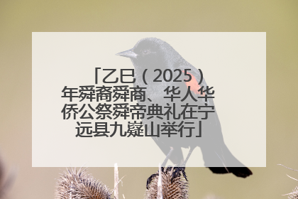 乙巳（2025）年舜裔舜商、华人华侨公祭舜帝典礼在宁远县九嶷山举行