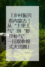 乡村振兴看内蒙古｜从“土里土气”到“虾里虾气” 一田双收模式火出圈