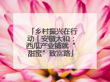 乡村振兴在行动丨安徽太和：西瓜产业铺就“甜蜜”致富路