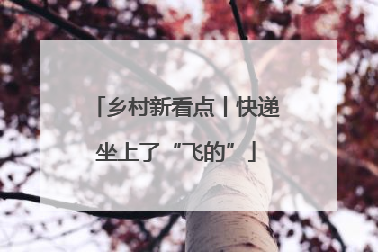 乡村新看点丨快递坐上了“飞的”