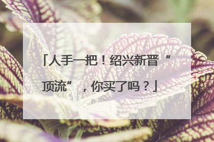人手一把！绍兴新晋“顶流”，你买了吗？