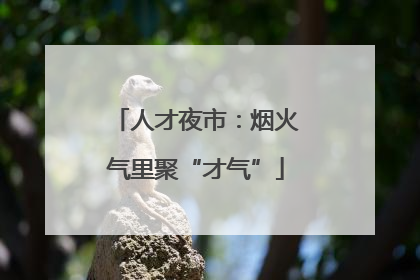 人才夜市：烟火气里聚“才气”