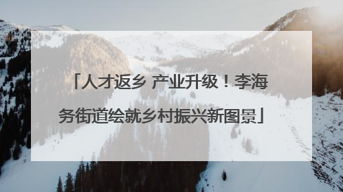 人才返乡 产业升级！李海务街道绘就乡村振兴新图景