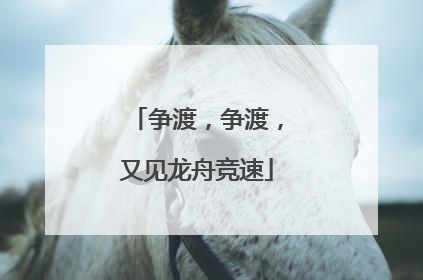 争渡，争渡，又见龙舟竞速
