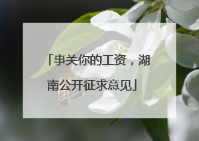 事关你的工资，湖南公开征求意见