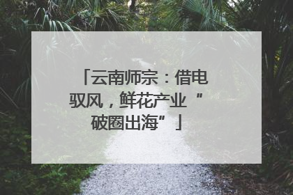 云南师宗：借电驭风，鲜花产业“破圈出海”