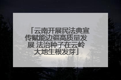云南开展民法典宣传赋能边疆高质量发展 法治种子在云岭大地生根发芽