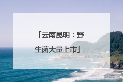 云南昆明：野生菌大量上市