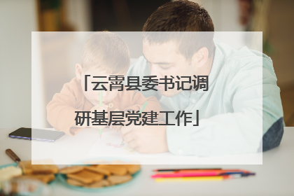 云霄县委书记调研基层党建工作