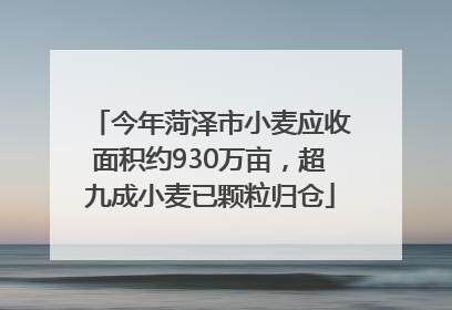 今年菏泽市小麦应收面积约930万亩，超九成小麦已颗粒归仓