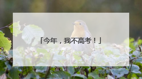 今年，我不高考！