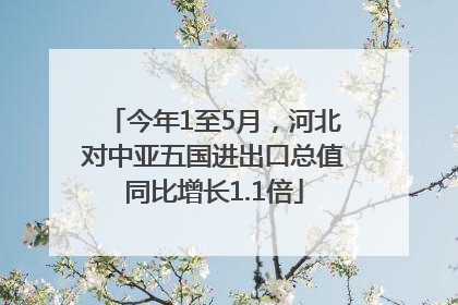 今年1至5月，河北对中亚五国进出口总值同比增长1.1倍