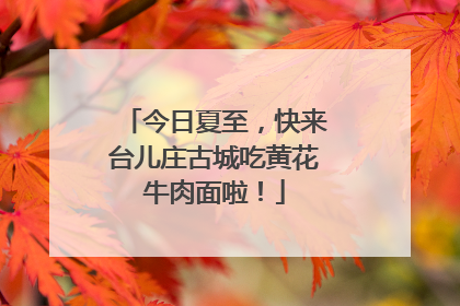 今日夏至，快来台儿庄古城吃黄花牛肉面啦！