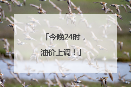 今晚24时，油价上调！