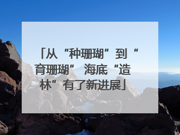 从“种珊瑚”到“育珊瑚” 海底“造林”有了新进展