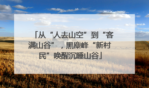 从“人去山空”到“客满山谷”，黑麋峰“新村民”唤醒沉睡山谷