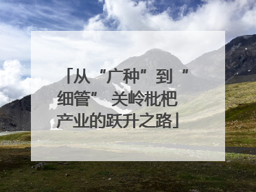 从“广种”到“细管” 关岭枇杷产业的跃升之路