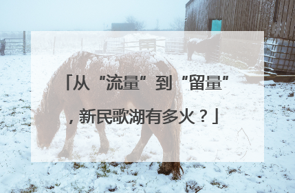 从“流量”到“留量”，新民歌湖有多火？