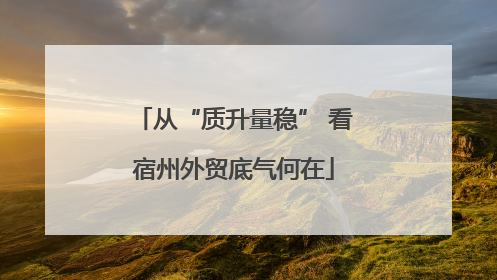 从“质升量稳” 看宿州外贸底气何在