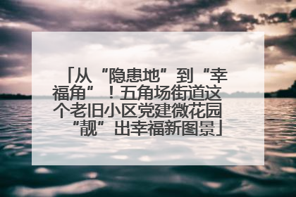 从“隐患地”到“幸福角”！五角场街道这个老旧小区党建微花园“靓”出幸福新图景