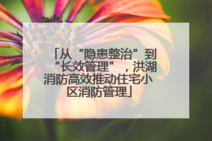 从“隐患整治”到“长效管理”，洪湖消防高效推动住宅小区消防管理