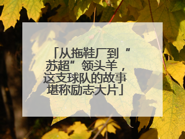 从拖鞋厂到“苏超”领头羊，这支球队的故事堪称励志大片