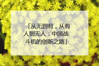 从无到有，从有人到无人：中国战斗机的创新之路