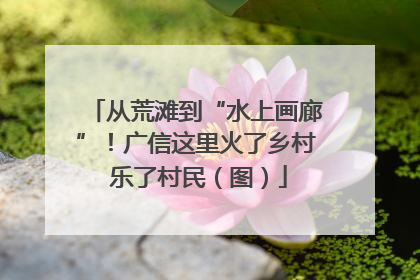 从荒滩到“水上画廊”！广信这里火了乡村 乐了村民（图）