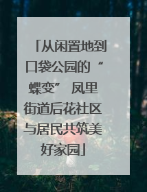 从闲置地到口袋公园的“蝶变” 凤里街道后花社区与居民共筑美好家园