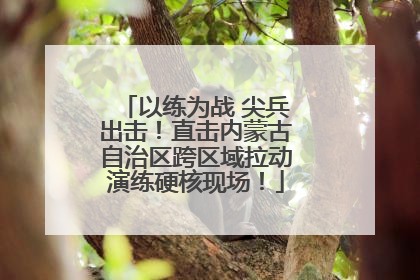 以练为战 尖兵出击！直击内蒙古自治区跨区域拉动演练硬核现场！