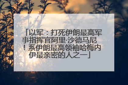 以军：打死伊朗最高军事指挥官阿里·沙德马尼！系伊朗最高领袖哈梅内伊最亲密的人之一