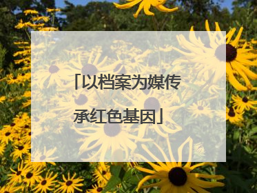 以档案为媒传承红色基因